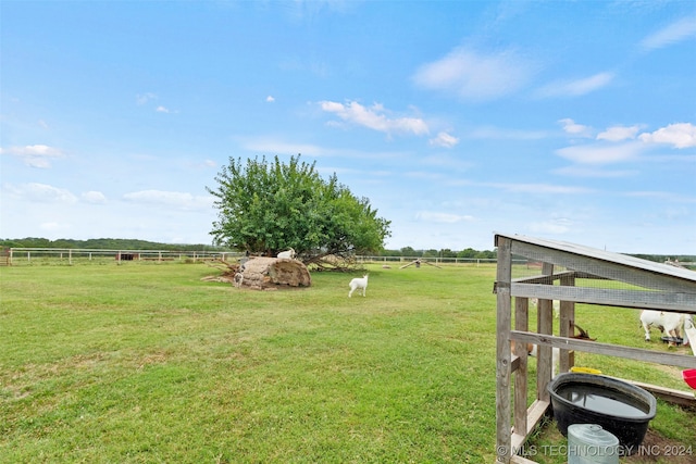 view of yard featuring a rural view