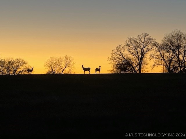 view of nature at dusk