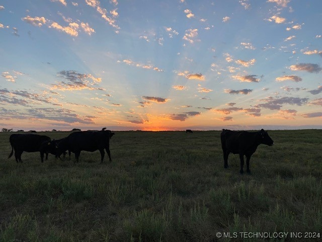 nature at dusk featuring a rural view