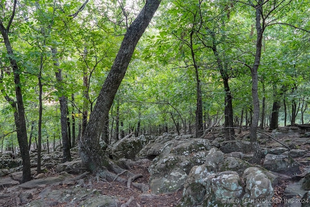 view of local wilderness