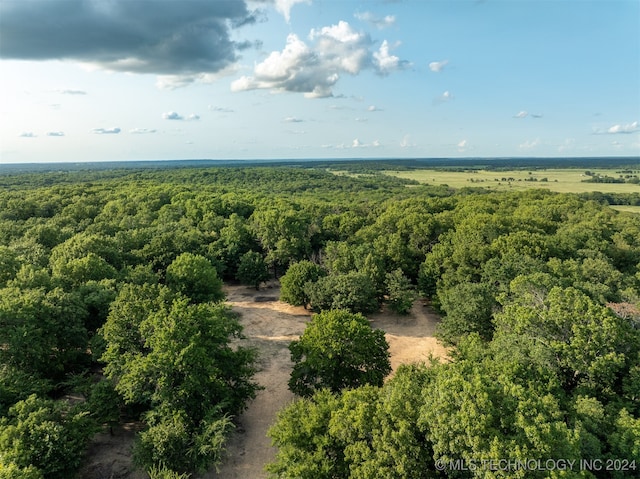 bird's eye view