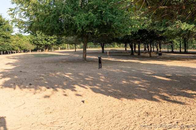 view of home's community with a rural view