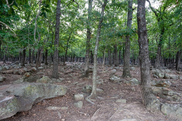 view of local wilderness