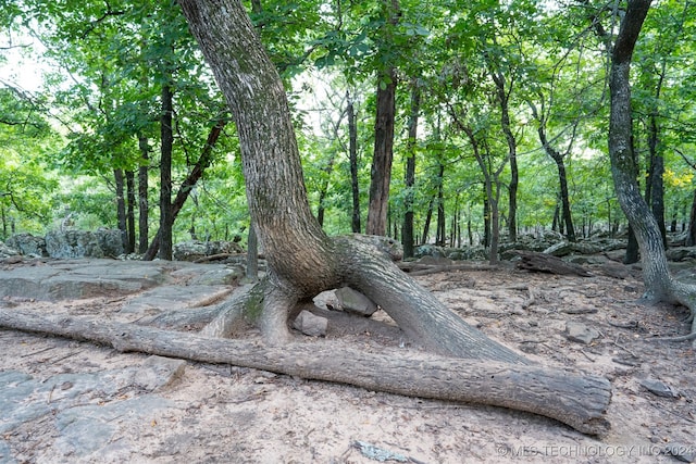 view of local wilderness