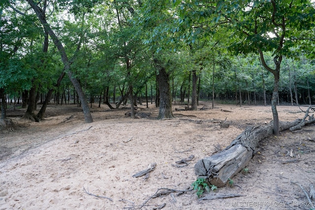 view of local wilderness