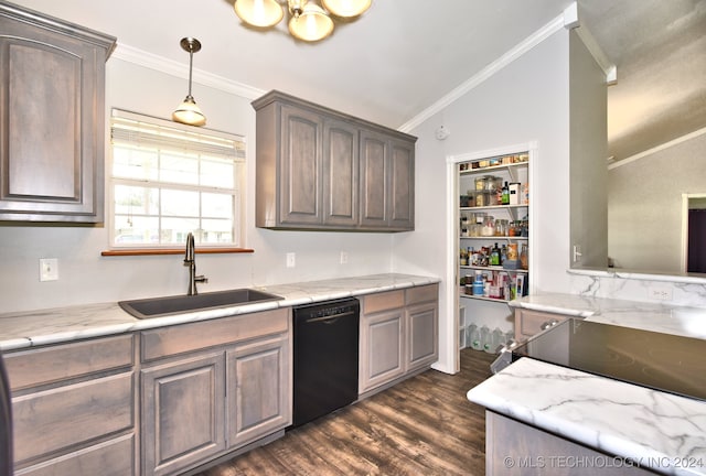 kitchen featuring dishwasher, lofted ceiling, sink, and crown molding