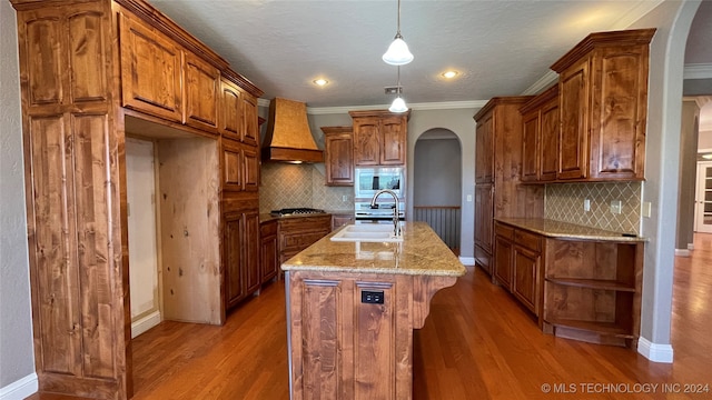 kitchen featuring premium range hood, a kitchen island with sink, hanging light fixtures, light hardwood / wood-style floors, and stainless steel appliances