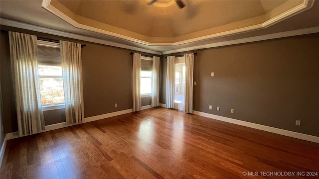 spare room featuring hardwood / wood-style flooring, a healthy amount of sunlight, and a tray ceiling