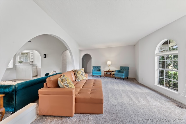 living room featuring light colored carpet