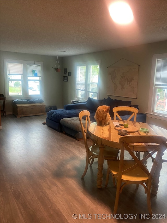 dining room with a textured ceiling and hardwood / wood-style flooring