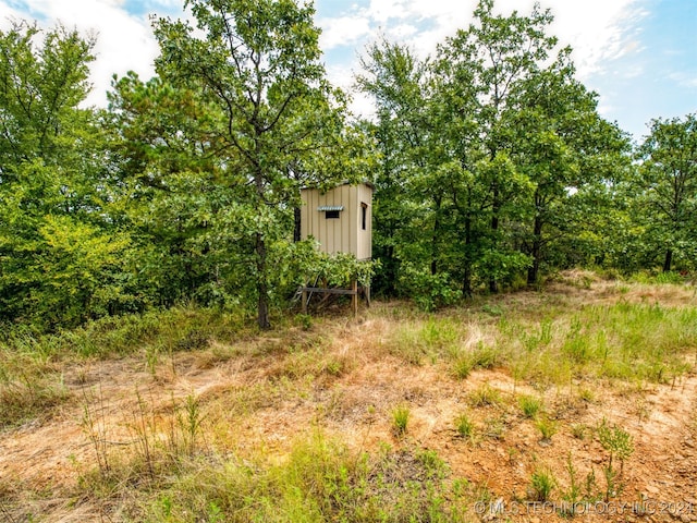 view of local wilderness