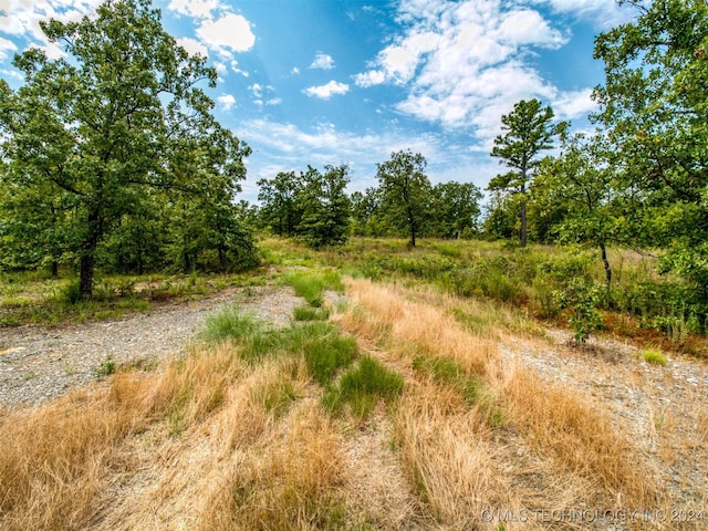 view of local wilderness