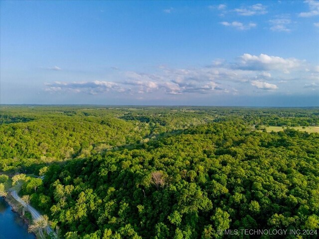 9207 N 447th Rd, Spavinaw, OK 74366 - photo 59