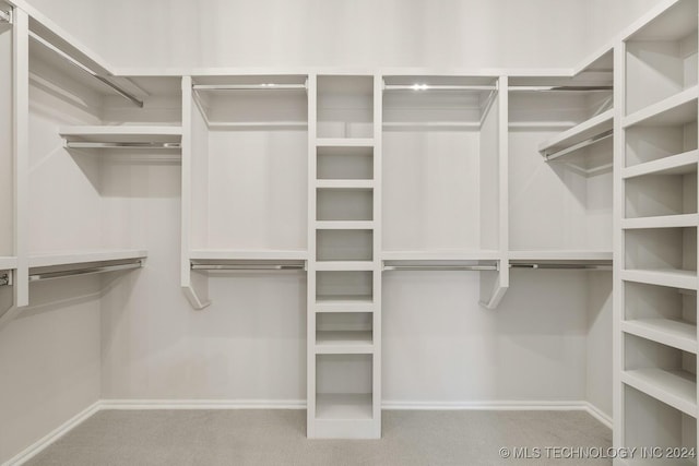 walk in closet featuring carpet floors