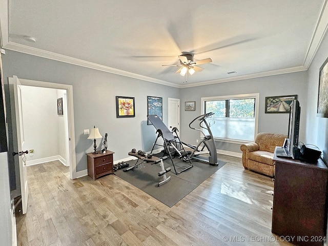 exercise area with light wood-type flooring, crown molding, and ceiling fan