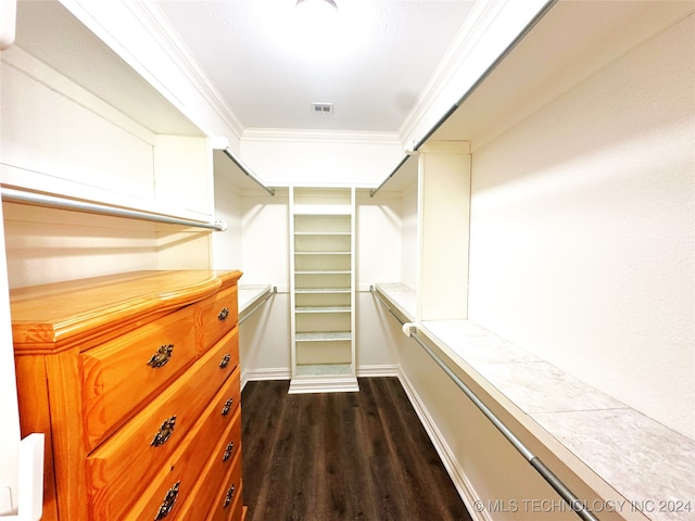 walk in closet with dark hardwood / wood-style floors