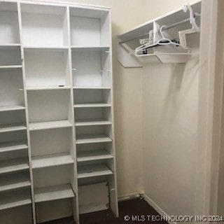 view of walk in closet