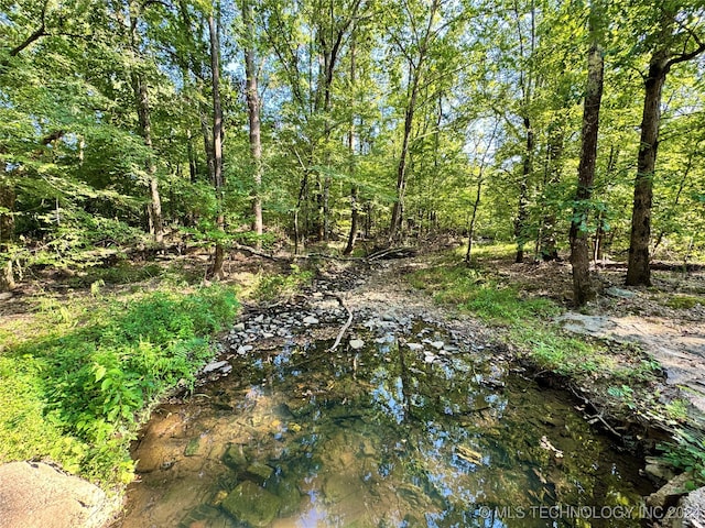 view of landscape featuring a water view