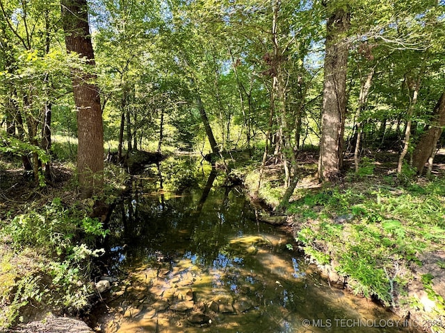 view of local wilderness featuring a water view