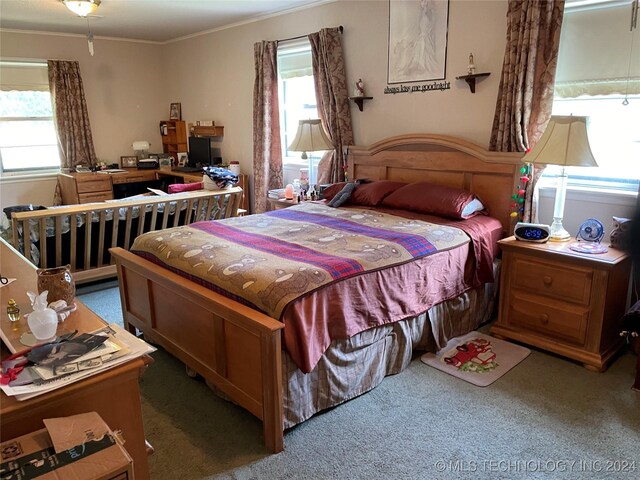 bedroom with crown molding and carpet flooring