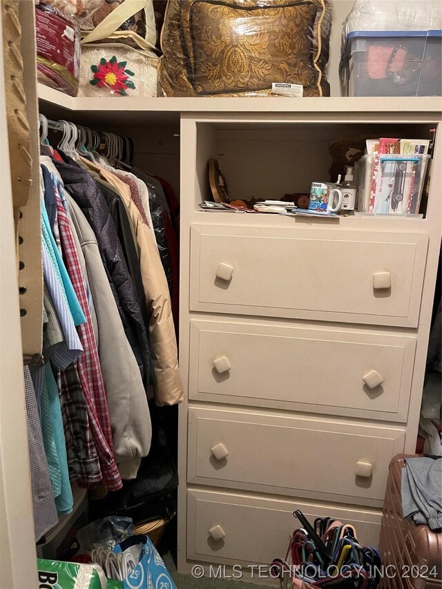 view of spacious closet