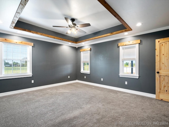 spare room with a raised ceiling and a healthy amount of sunlight