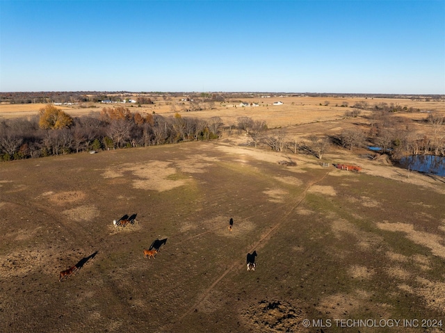 birds eye view of property with a rural view