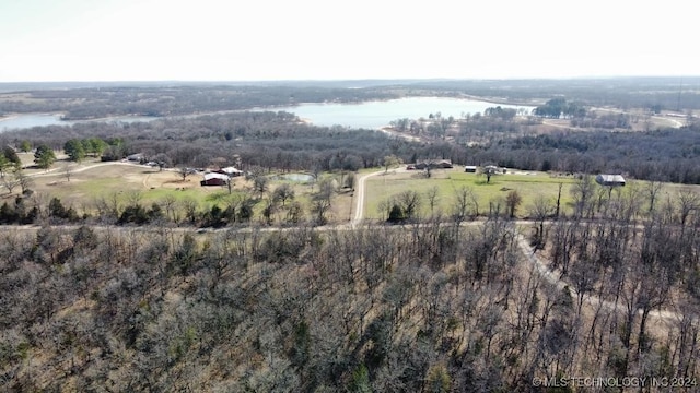 drone / aerial view featuring a rural view and a water view