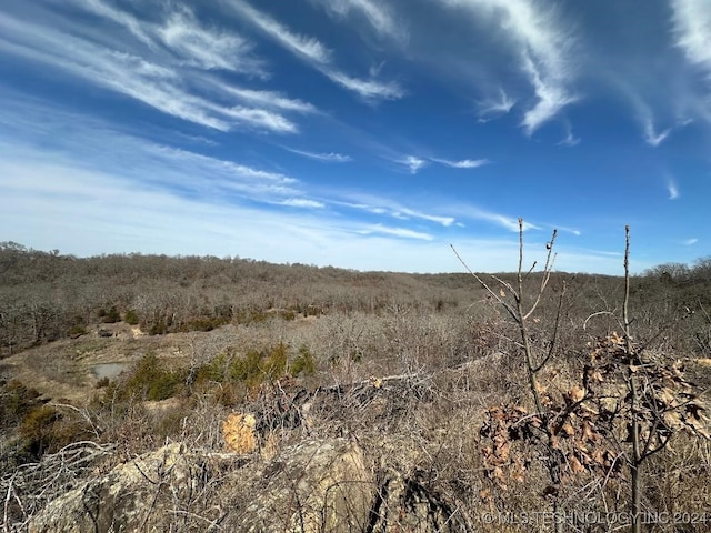 view of landscape