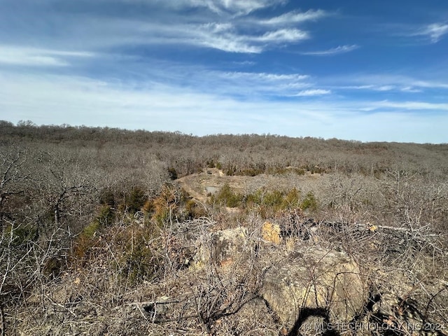 view of landscape