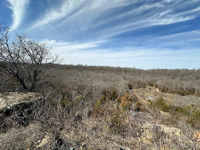 view of landscape