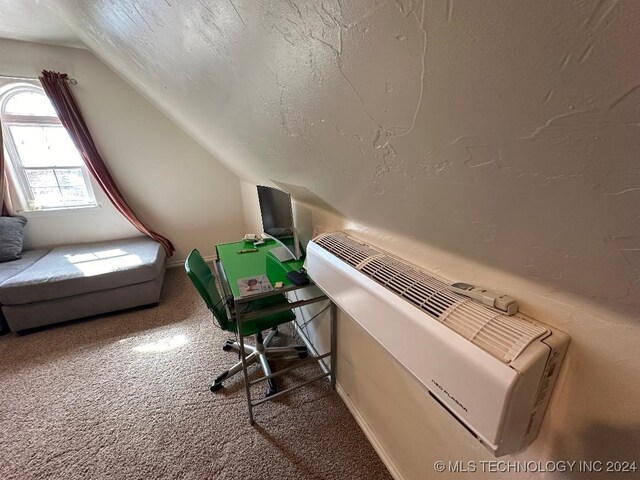 interior space featuring radiator, a textured ceiling, and vaulted ceiling