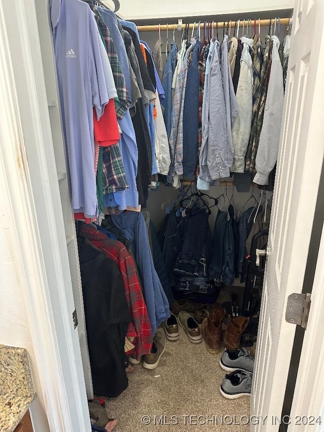 walk in closet featuring carpet