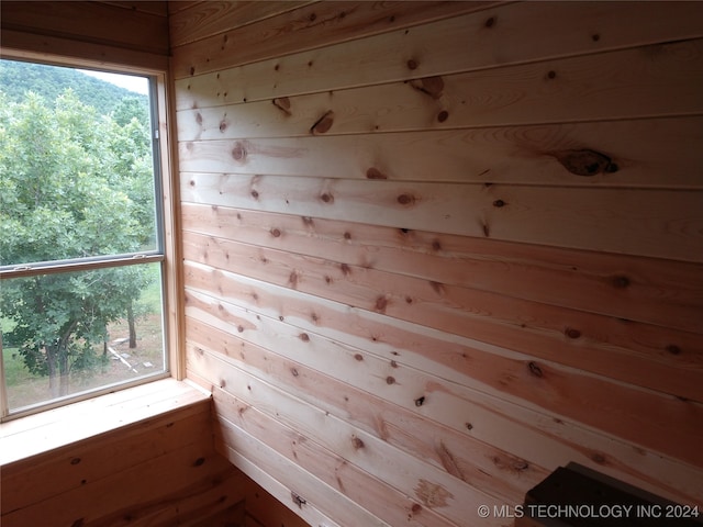 view of sauna with wooden walls and a wealth of natural light