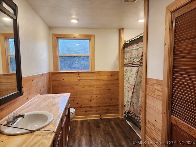 bathroom with wood-type flooring, vanity, and toilet