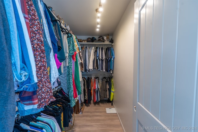 walk in closet with light wood-type flooring