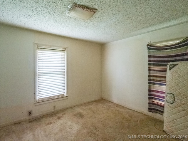 empty room featuring a wealth of natural light, a textured ceiling, and carpet floors