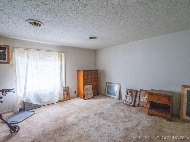 miscellaneous room featuring carpet flooring and a textured ceiling