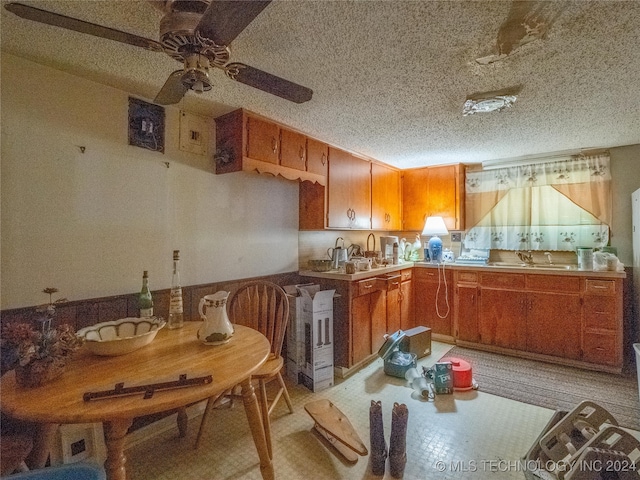 kitchen with a textured ceiling, light colored carpet, sink, and ceiling fan