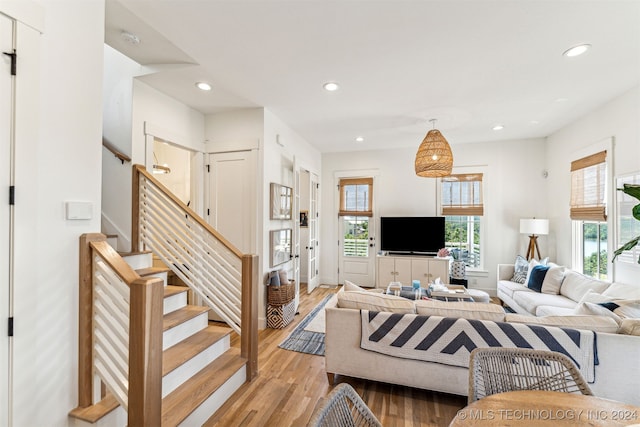 living room featuring wood-type flooring