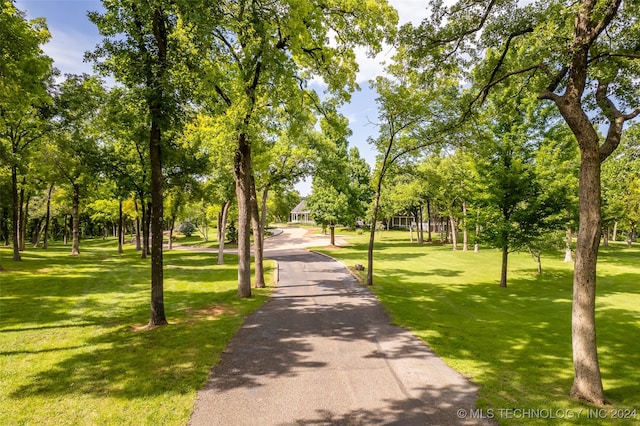 surrounding community featuring a lawn