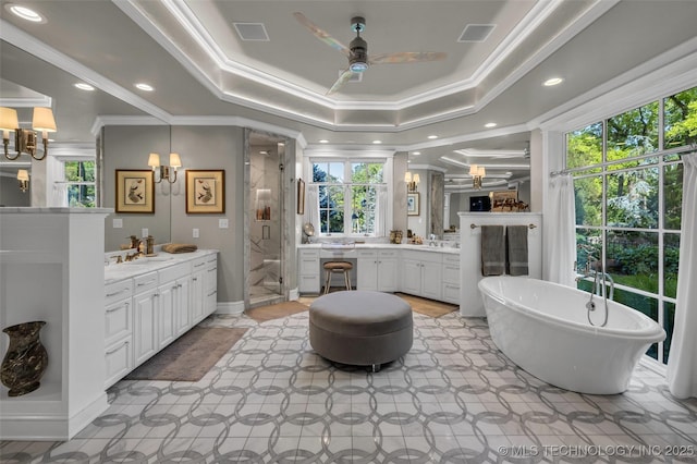 bathroom with plenty of natural light and a tray ceiling