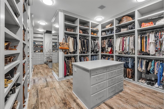 spacious closet featuring light wood-type flooring