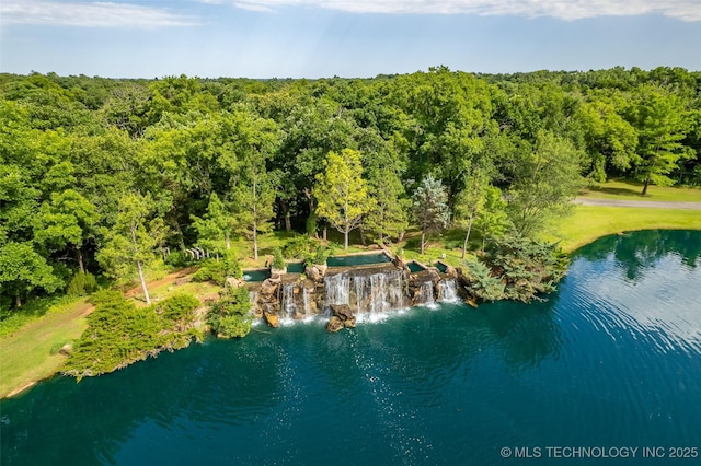 aerial view with a water view and a view of trees