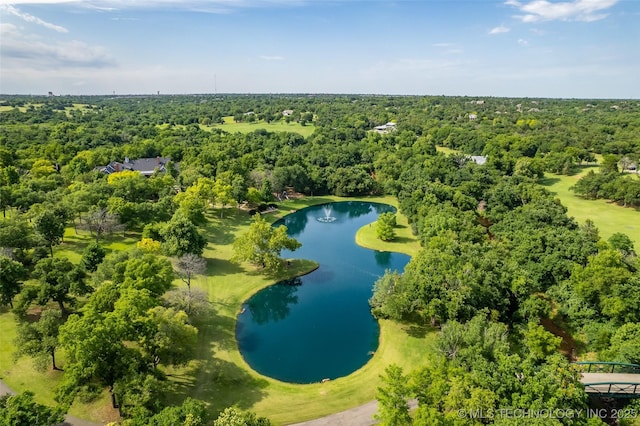 drone / aerial view with a water view and a view of trees