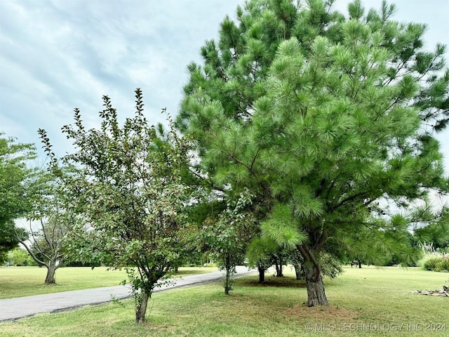 view of home's community with a yard and driveway