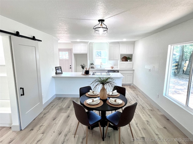 dining room featuring light hardwood / wood-style flooring, a wealth of natural light, and a barn door