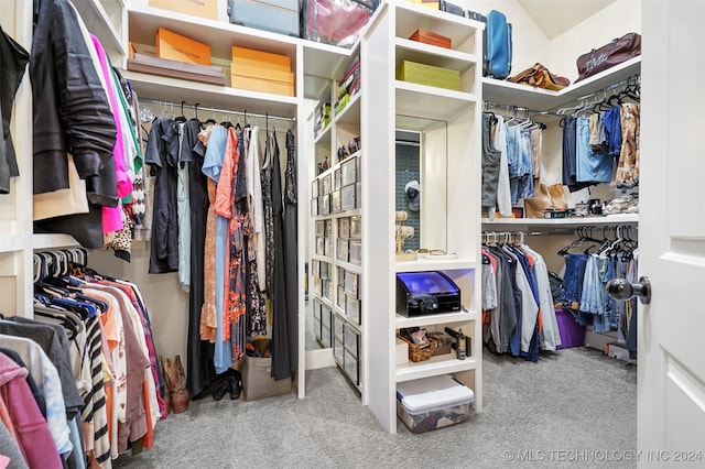 walk in closet with light colored carpet