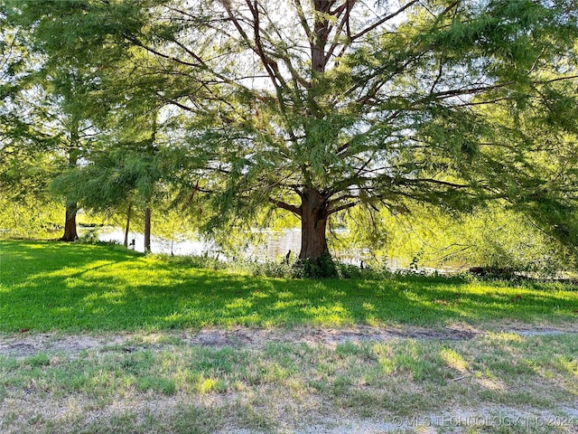 view of yard featuring a water view