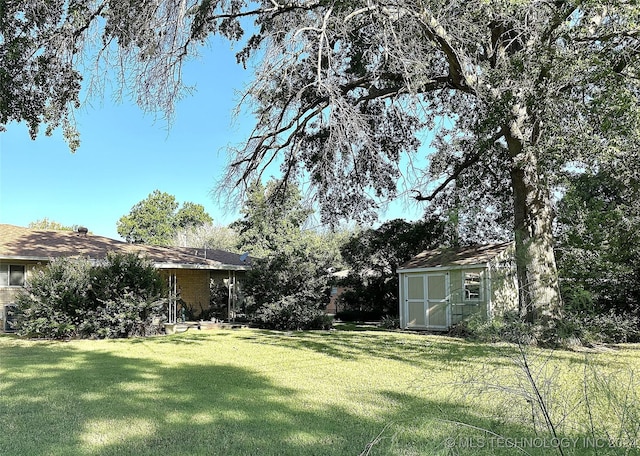 view of yard with a storage shed